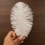 Ostrich Feather for Nikah Pen