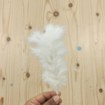 Kalgi Hen Feather for Nikah Pen