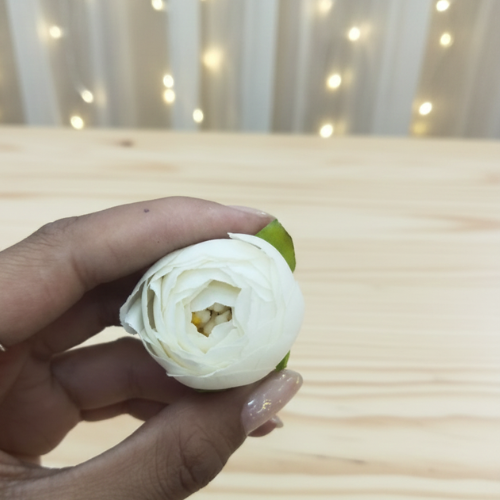 Peony Flower White Pack of 100 Pcs.