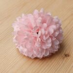 Dahlia Baby Pink