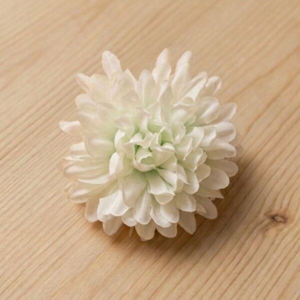 Small Dahlia White