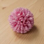 Small Dahlia Pink
