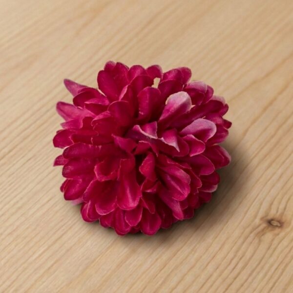 Small Dahlia Rani
