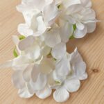 Hydrangea White