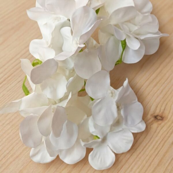 Hydrangea White