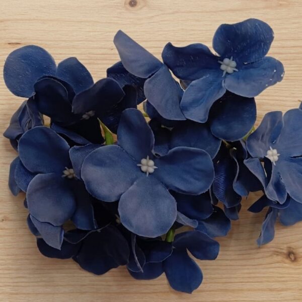Hydrangea D.Blue