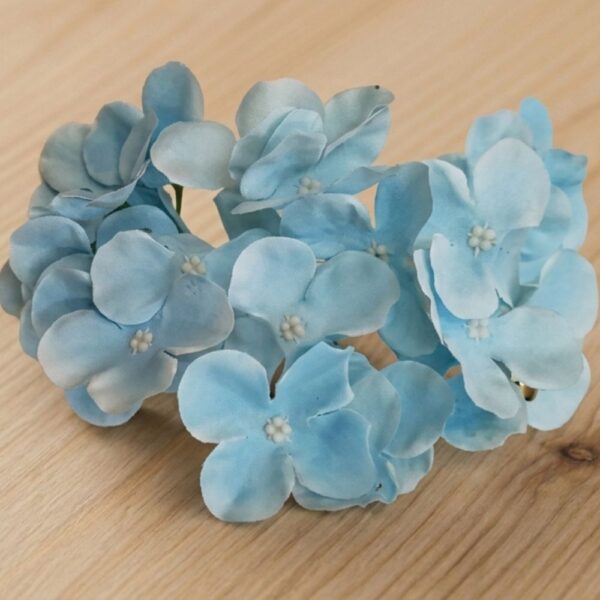 Hydrangea L.Blue