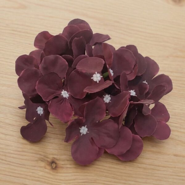 Hydrangea Maroon