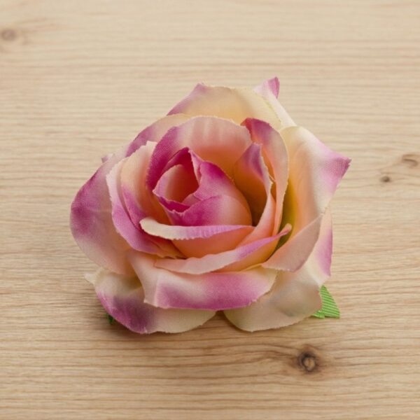 Rose Shaded Peach