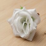 Rose White