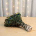 Peacock Feather 9 -11 Inch