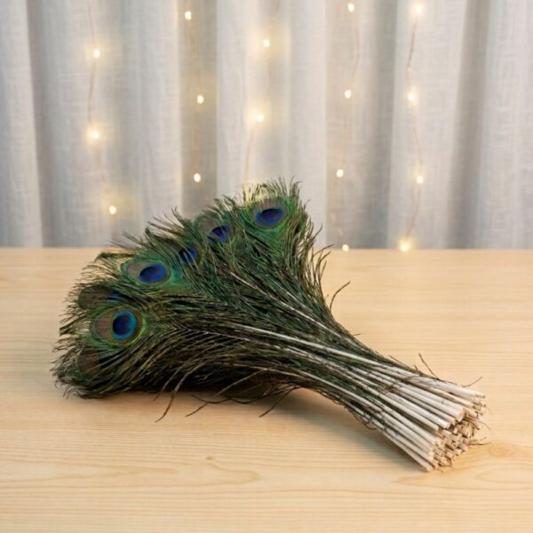 Peacock Feather 9 -11 Inch