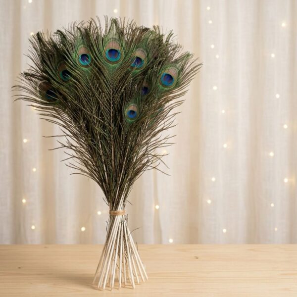 Peacock Feather 25 -27 Inch