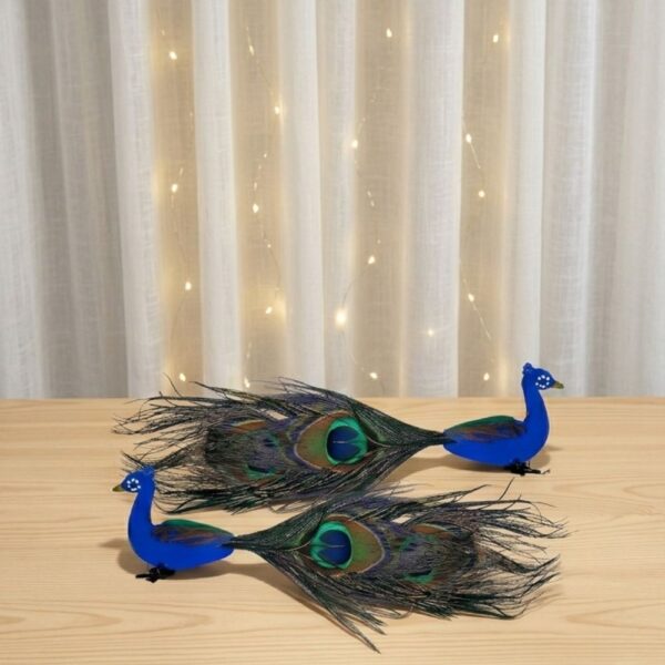 Peacock Pair