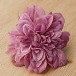 Big Flower Dusty Pink