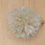 Pom Pom White