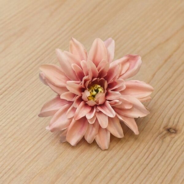 Lotus Peachy Pink
