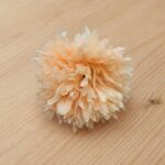 Pom Pom Peach