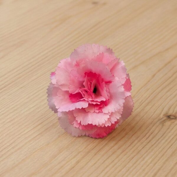 Carnation Shaded Pink
