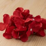 Hydrangea Red