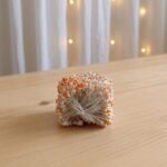 Pollen Buds White Orange