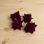 Velvet Rose Maroon