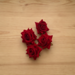Velvet Rose Red