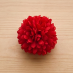 Dahlia Red