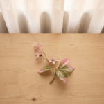 Leaf 6 Green Pink