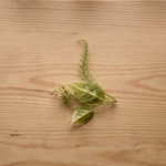Leaf 5 Green