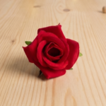 Rose Red