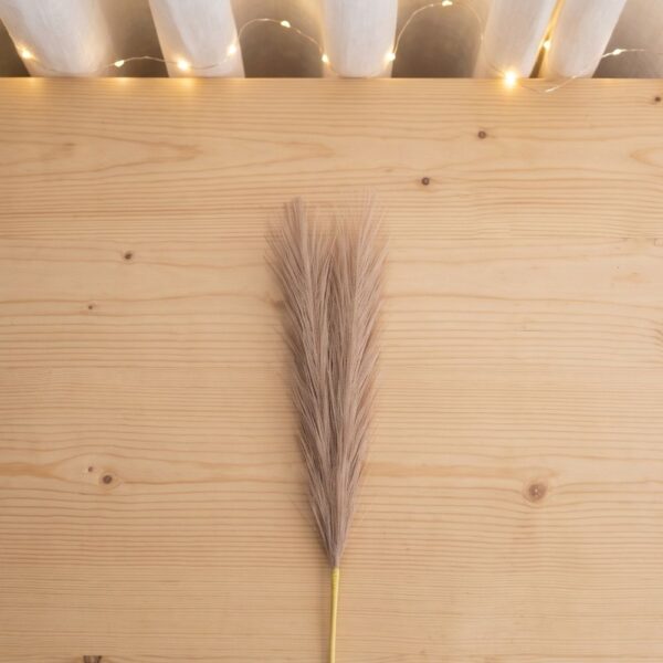 Pampas Grass