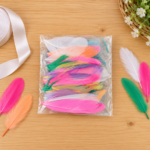 Small Feather Colorful