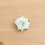 Diamond Rose White