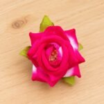 Velvet Rose Shaded Pink Premium